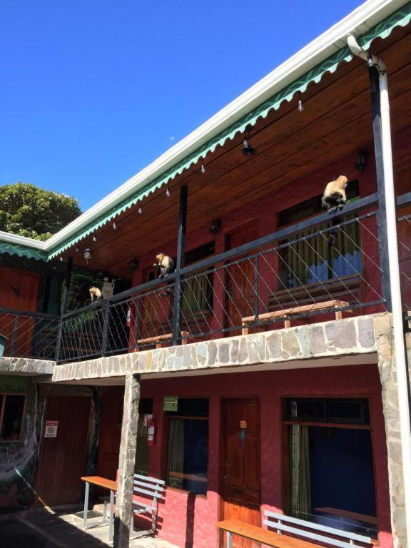 Manakin Lodge, Monteverde 외부 사진